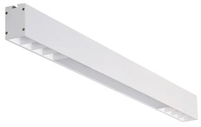 Linelio Mix LED