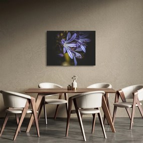 Kép - Lila (üvegen) (70x50 cm)