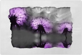 Poszterek 60x40 Tükröződés a vízben Sárkányok