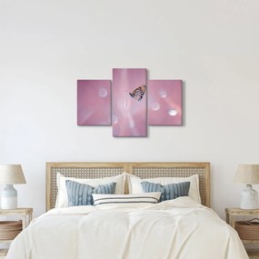 Kép - Pillangó (90x60 cm)