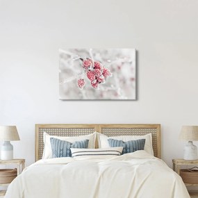 Kép - Fagyasztott gyümölcsök (90x60 cm)