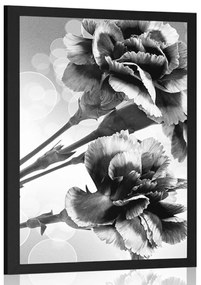 Poszter szekfű virág fekete fehérben