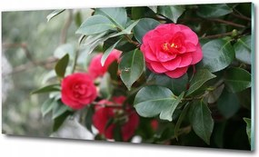 Fotó üvegkép Hawaii virágok 100x70