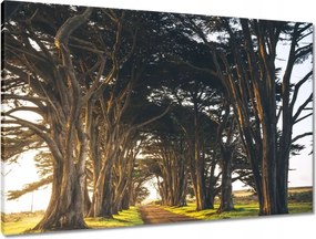 Vászonkép 90x60 Tájkép Látvány