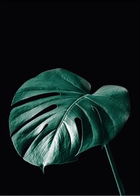 Dekoria Dark Monster poszter