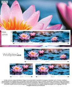 Wallplex konyhahátfal Pink Lotus (Méret: 60x180)