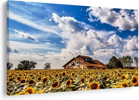 Napraforgó mező képe (90x60 cm)