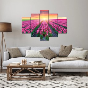 Tulipán mező és a nap képe (150x105 cm)