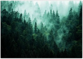 Fotótapéták 208x146 Erdő Köd Tájkép Utazás