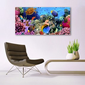 Akrilkép Barrier Reef Nature 100x50 cm