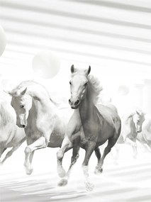 Fotótapéta Ló Lovak Galopp Természet 3D Hatás 184x254