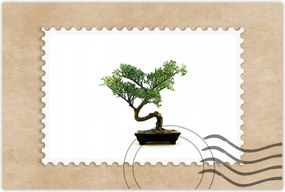 Poszterek 120x80 Bonzai fa