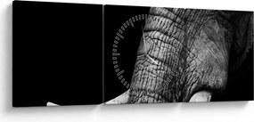 Kép - Elefánt agyar (órával) (90x30 cm)