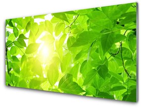 Üvegfotó Elhagyja Plant Sun 100x50 cm