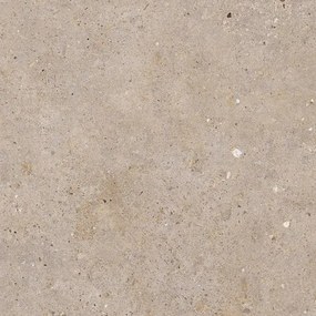 Padló Pastorelli Biophilic greige 60x60 cm matt P009498