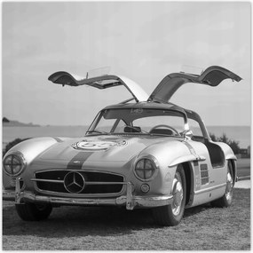 Fotótapéta flizelina 208x208 Mercedes Gullwing