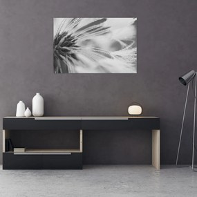 Kép - Pitypang (90x60 cm)