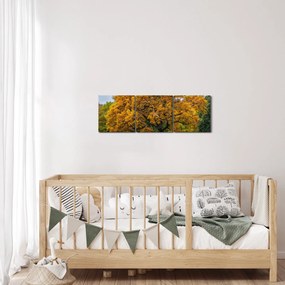 Fa képe (órával) (90x30 cm)