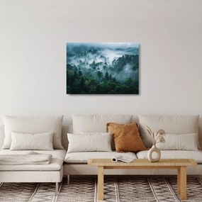 Üveg kép - Erdő ködben (70x50 cm)