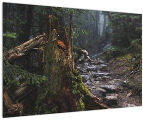 Kép - Az erdőben (90x60 cm)