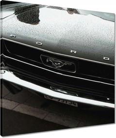 Vászonkép 50x50 Ford Mustang Usa autó