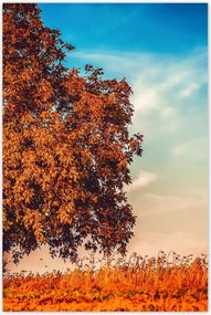 Poszterek 60x90 Őszi színek Tájkép