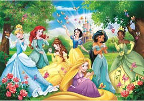Disney Hercegnők Magical Companions 60 db-os maxi puzzle Clementoni