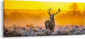 Kép - Szarvas napfelkeltekor (120x50 cm)