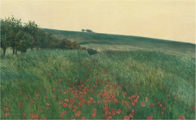 Dekoratív Fotótapéta Hálószobába Pipacs mezők 416x254 Ragasztó