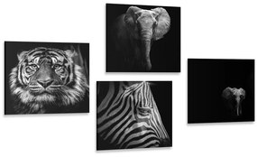 Képszett állatok fekete-fehér változatban