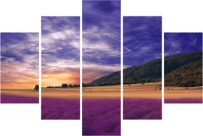 A levendula rét képe (150x105 cm)