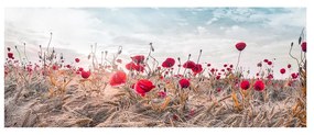 Poppies vászonfestmény, 60 x 150 cm - Styler