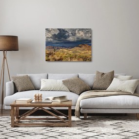 Kép - kaktuszok a természetben (üvegen) (70x50 cm)