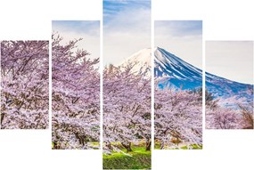 Kép - Japán tavasszal (150x105 cm)