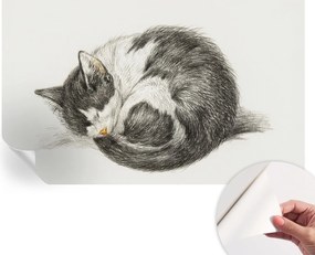 Öntapadós Dekoratív Fotótapéta Hálószobába Bájos cica 416x254 cm