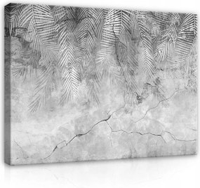 Vászonkép falikép szürke fehér pálmalevelek 100 x 75