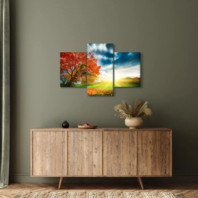 Napsütésben fürdő táj képe (90x60 cm)