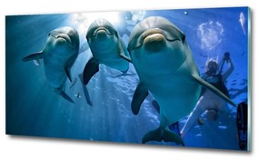 Üvegkép Három delfinek osh-119968160