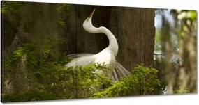 Vászonkép 120x60 Kalapos madár Tájkép Kilátás