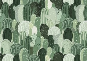 Fotótapéta - Kaktuszparadicsom (147x102 cm)