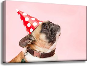 Ifjúsági Vászonkép Mopsz Születésnap Állatok Természet Kutya 60x40