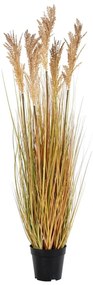 Fű műnövény (magasság 110 cm) Sorghum – House Nordic