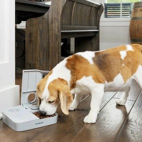 PetSafe® Automatic 2 Meal Pet Feeder automatikusetető