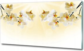 Fotó üvegkép Napfény 125x50