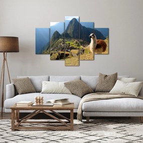 Kép - Láma és Machu Picchu (150x105 cm)
