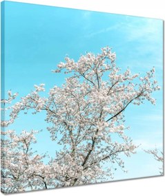 Vászonkép 40x40 Finom virágok Tavasz