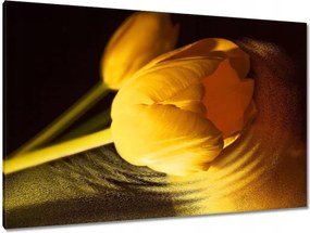 Vászonkép 120x80 Sárga-arany tulipán