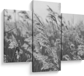 Kép - Fű a szélben (90x60 cm)