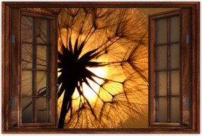 Poszterek 60x40 Pitypang Virág Virágok