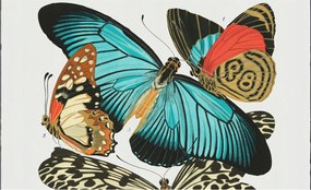 Dekoratív Fotótapéta Hálószobába Színes pillangók 416x254 Ragasztó